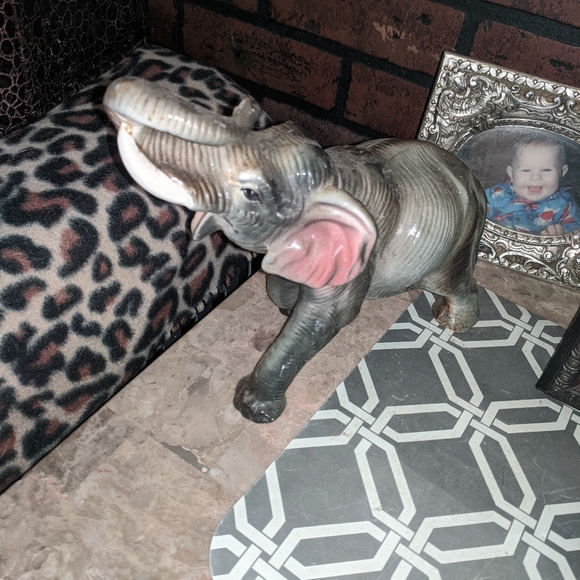 Elephants - Picture 8 of 15